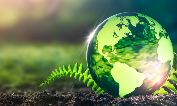 成功案例banner圖手機(jī)端